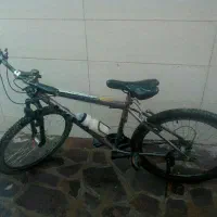 دوچرخه ویوا کوهستانی