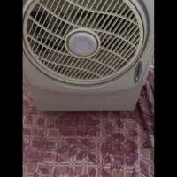 کولرابی سلولوزی