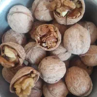 تخم مرغ و گردو