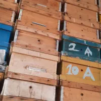 کندو عسل طبق