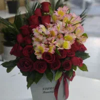 باکس آماده ارسال