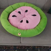 جای خواب گربه و سگ