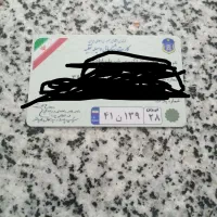 پلاک ماشینم گم شده