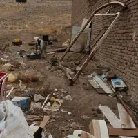 سگ نگهبان وکله