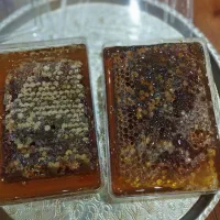 عسل طبیعی موم دار شیراز
