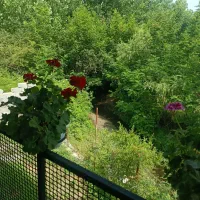 ویلایی تمیز لب رودخانه و جنگل نزدیک دریا|اجارهٔ کوتاه‌مدت ویلا و باغ|تالش, طولارود|دیوار