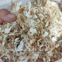 پوشال و تراشه چوب