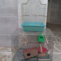 قفس پرنده|لوازم جانبی حیوانات|باغستان, |دیوار