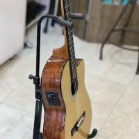 CLARIS GUITAR|گیتار، بیس، امپلیفایر|جهرم, |دیوار