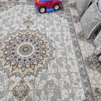 دوعدد فرش دوازده متر در حد نو جنس عالی