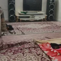 اجاره آپارتمان ۵۰متری