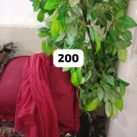 لوازم خانه|فرش|میناب, |دیوار