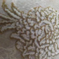 فیش حج تمتع