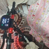 اسکوتر برقی وینر نو نو در حد صفر|دوچرخه، اسکیت، اسکوتر|شیراز, فرهنگیان|دیوار