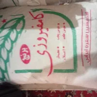 برنج کامفیروز اصل