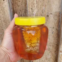 * طبیعت بکر جنگل و کوهستان گیلان در یک قاشق عسل *|عمدهفروشی|تهران, قیطریه|دیوار