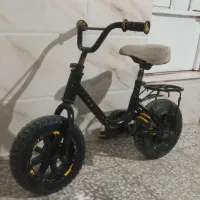 دوچرخه دوازده
