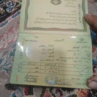 شناسنامه|اشیا|دزفول, |دیوار