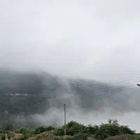 کارگر ساده