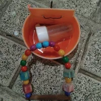 آب خوری و دان خوری وطاب عروس هلندی