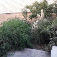 ۲۳۰مترکلنگی شمالی سهروردی شمالی