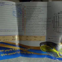 207مدل1404|خودرو سواری و وانت|کاشمر, |دیوار