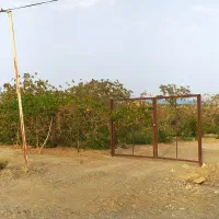 باغ پسته فیض آباد فروش فوری|فروش زمین و ملک کلنگی|مه ولات, |دیوار