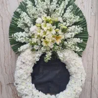 تاج گل|گل و گیاه طبیعی|تهران, امامت|دیوار