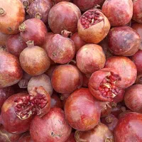 انار ربی دون قرمز