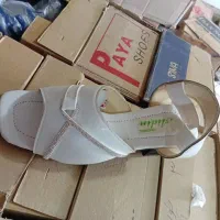 صندل کفش دمپایی|کیف، کفش، کمربند|شوشتر, |دیوار