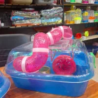 باکس جزیره ای همستر|لوازم جانبی حیوانات|قم, حکمت شمالی|دیوار