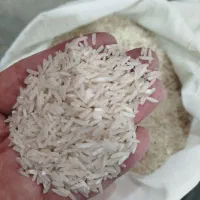 برنج طارم هاشمی و محلی|خوردنی و آشامیدنی|مشهد, سید رضی|دیوار