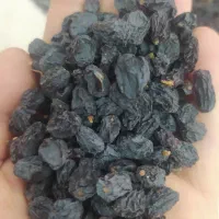 مویز ترکمن بدون هسته