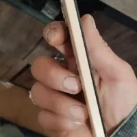 نوت 12|موبایل|شیراز, گل سرخ|دیوار