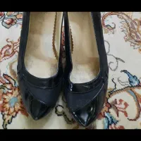 کفش مجلسی|کیف، کفش، کمربند|ایجرود, |دیوار