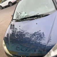 206 SD V1|خودرو سواری و وانت|رشت, رودباری|دیوار