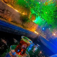 سالندار کوه نور