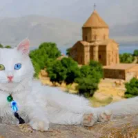 تور گروهی وان ترکیه 5خرداد و 11خرداد