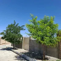 زمین باغچه چهاردیواری کاربری مسکونی