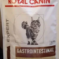 غذای گربه رویال کنین