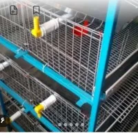 قفس مخصوص بلدرچین و کبوتر ومرغ|لوازم جانبی حیوانات|شنبه و طسوج, |دیوار