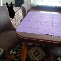 میز و صندلی شیک و زیبا