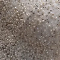 لباس عروس بسیارشیک قیمت مناسب|لباس|رشت, حومه رشت|دیوار