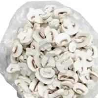 قارچ و تره بار|خوردنی و آشامیدنی|شیراز, محراب|دیوار