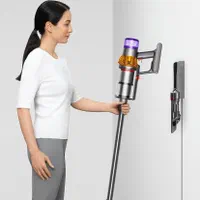 جارو برقی دایسون v15s Detect Fluffy Dyson|جاروبرقی، جارو شارژی، بخارشو|تهران, پامنار|دیوار