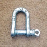 شگل سایز 16 اروپایی