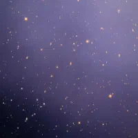 دعوت به همکاری