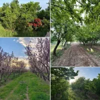 باغ-ویلا-صدرا