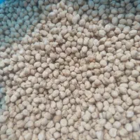 نخود ریز چگنی سفید یکدست