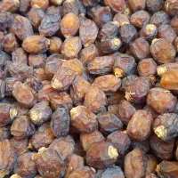 خرما آجیلی(ریزه)